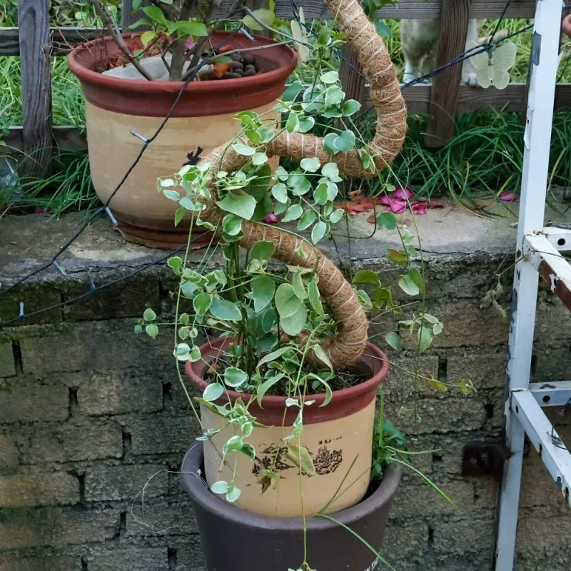 80/100/120cm Bendable Plant Stakes Plant Climbing Pole Coconut Fibre Moss Rod Indoor Support Growth Sticks Garden Tools plant stakes