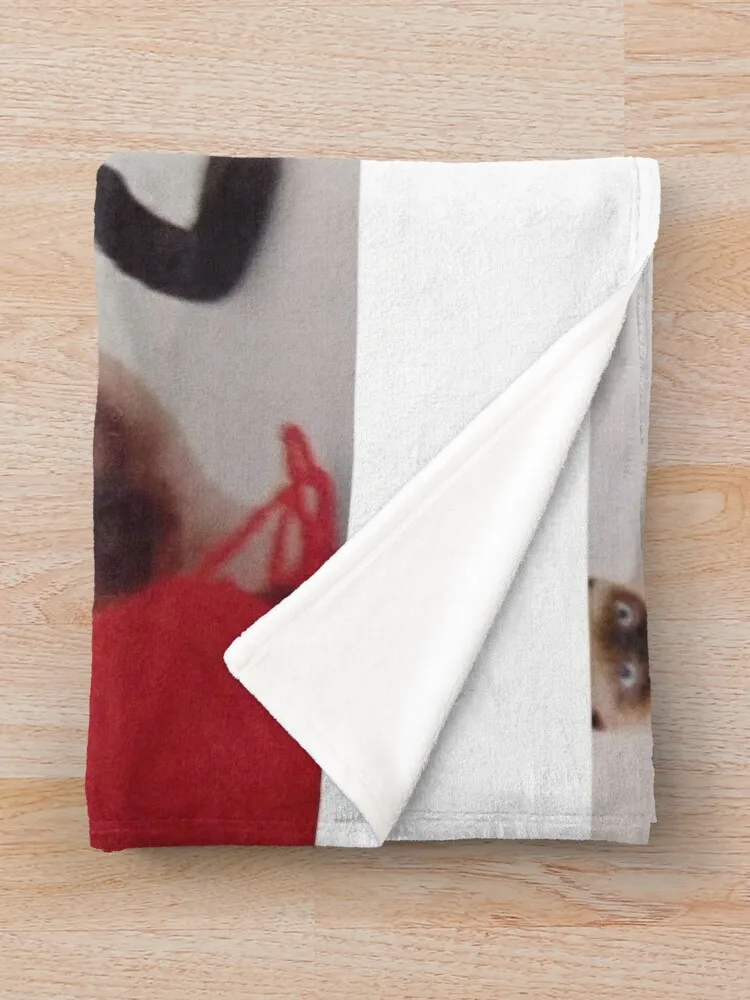 �� ������. ǫ���� ��� �� ���, ���� ħ�� ���