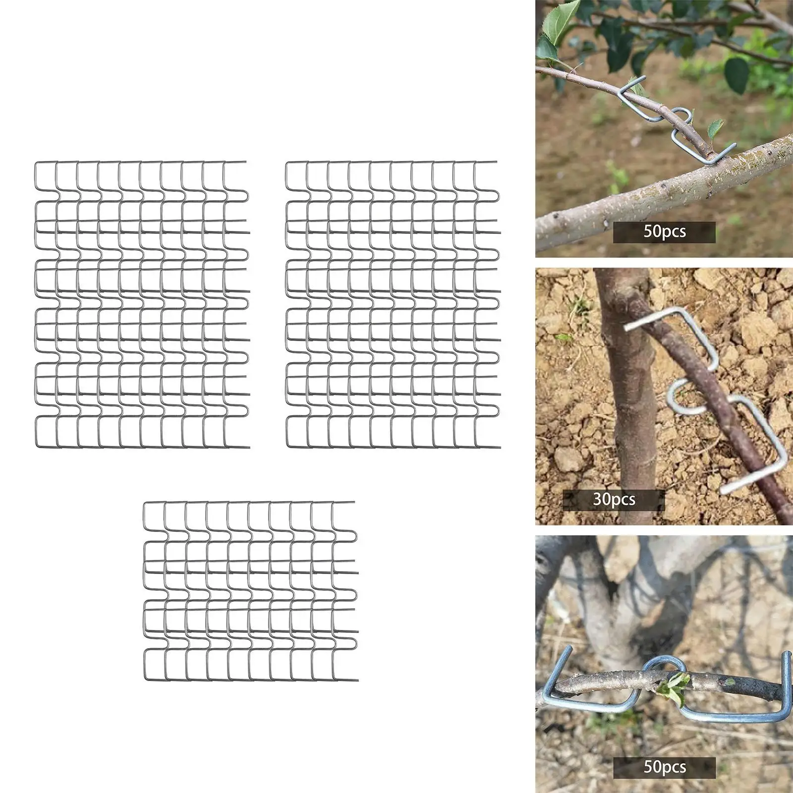 Plant Ties Tree Branch Fixator 50x Fruit Tree Branch Puller Branch Tying Potted Plants Strong Spreading Crotch Angles Orange Plum