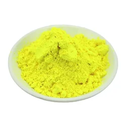 Neon Phosphor Nail Art & Craft Pigment Powder - 16 Vibrant Colors (03  Lemon Yellow)