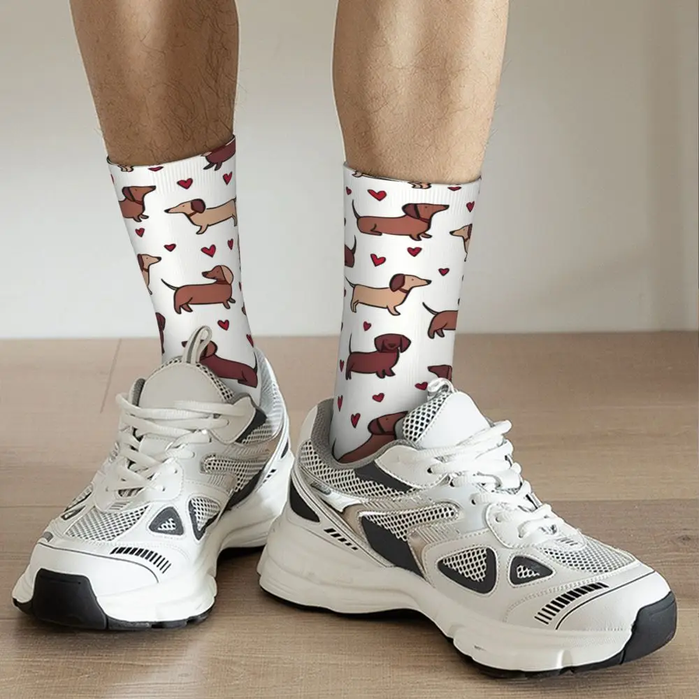 funny-dachshund-print-socks-for-men-women-autumn-stockings