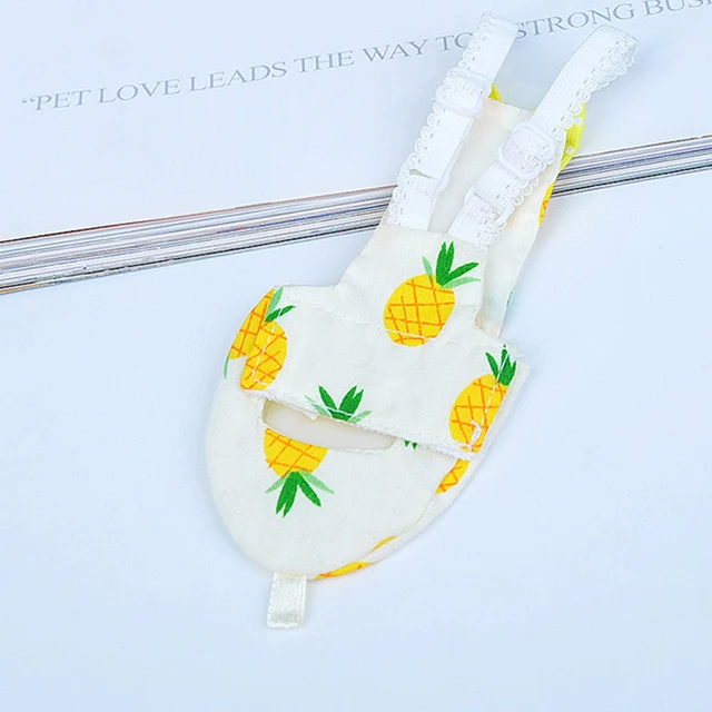 Parrot Diaper Pant Clothes for Parrots Small Flight Parakeet Pet Bird Clothes Parrot Diaper Bird Pant Flying Costume Pilot 4
