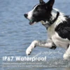 Waterproof 4G SIM GPS Locator Long Standby Anti-loss Tracker Neck Collar Real Time Positioning for Dogs 5
