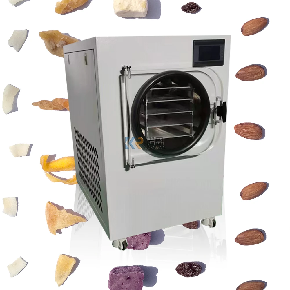 Small Freeze Drying Machine Vacuum Lyophilizer Vegetable fruit Meat Pet  Food Home Freeze Dryer - AliExpress