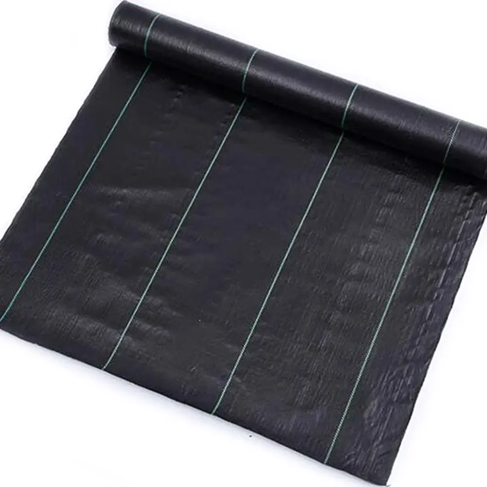 Store Home Products ChoiceDay Feedback