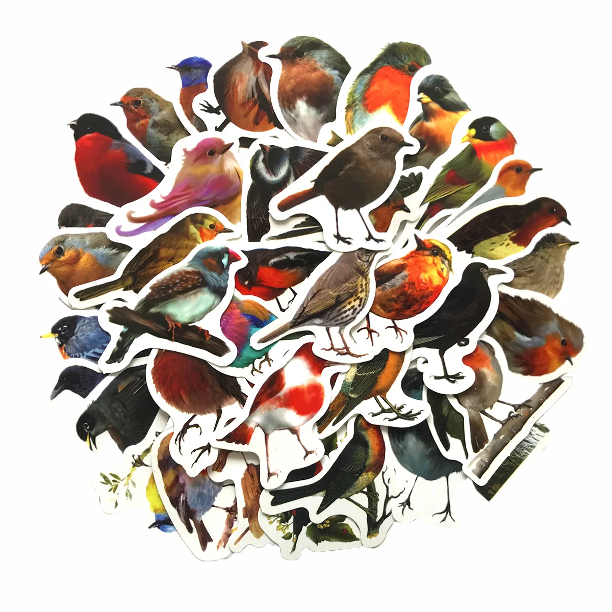 

10/30/50PCS Cartoon Bird Graffiti Sticker Animal iPad Luggage Helmet Guitar DIY Scrapbook Wall Sticker Toy Decoration Wholesale