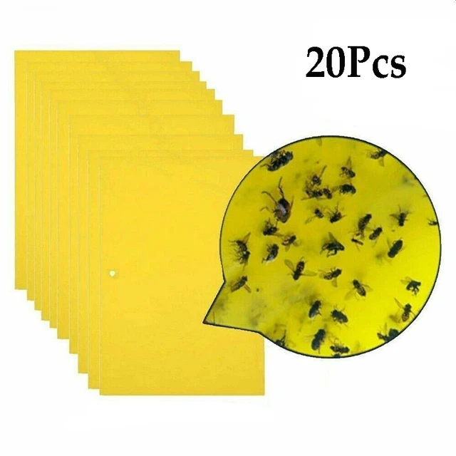 20pcs Sticky Trap,fruit Fly And Gnat Trap Yellow Sticky Bug Traps For Indoor/outdoor  Use Insect Cat