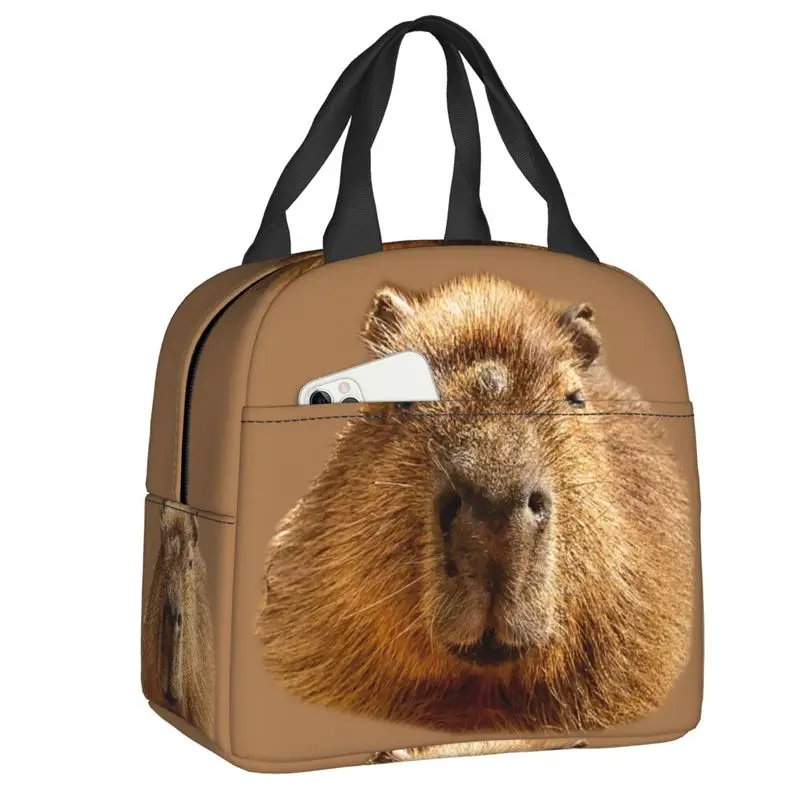 

Capybara Dozing Insulated Lunch Bag for Camping Travel Reusable Thermal Cooler Bento Box Women Children Food Container Tote Bags