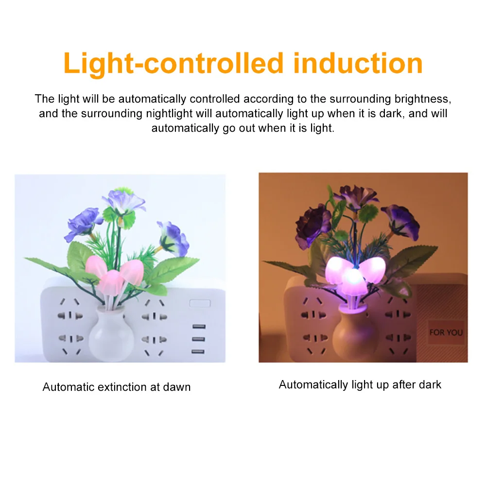 Рисунок 5 - Новинка, освещение