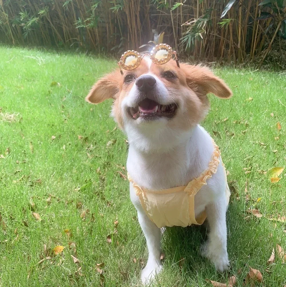 애완 동물 강아지 안경 라인 석 선글라스 고양이 사진 장식 패션 선글라스 액세서리 애완 동물 제품 강아지 선글라스