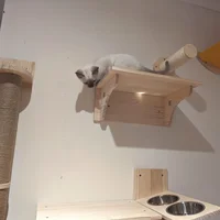 Wall-Mounted Wooden Cat Climbing Tree with Hammock & Scratching Post 4