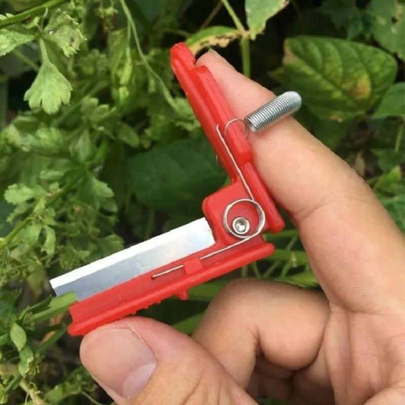 Description Picture 6 of itemVegetable Fruit Harvesting Picking Tool Vegetable Thump Knife Separator Garden Picking Guillotine Farm Orchard Gardening Tools