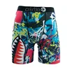 ETHIKA Sexy Men Underwear Boxers Cueca Fashion Print Man Underwear Summer Breathable Men's Panties Lingeries Plus Size Briefs 5