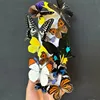 Real Butterfly Specimen Insect Student Teaching Science Exhibition Statues for Decoration Diy Carfs Home Decor 1