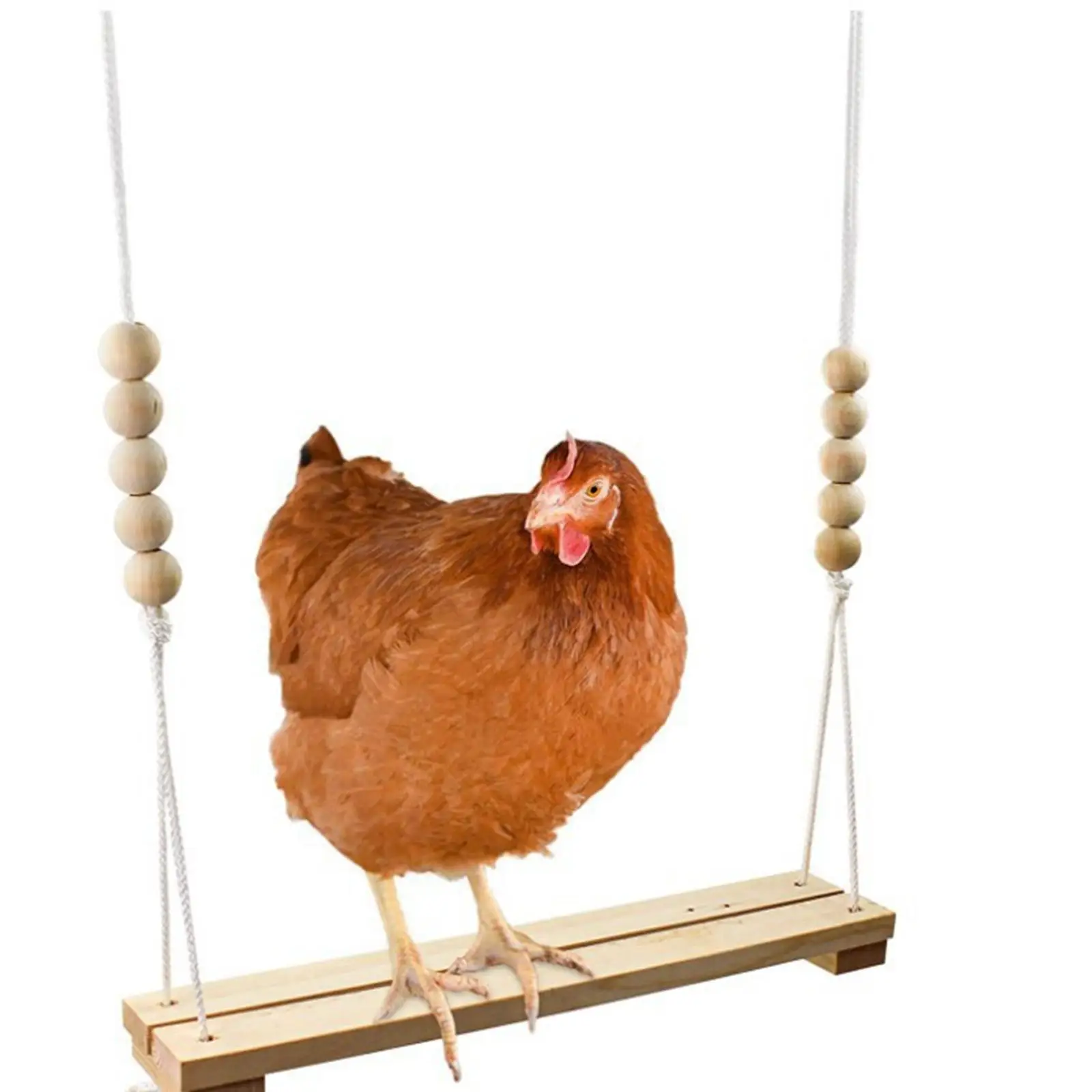  ġŲ   ޹  ġŲ   峭 ġ   ׼  ݷ ǰ