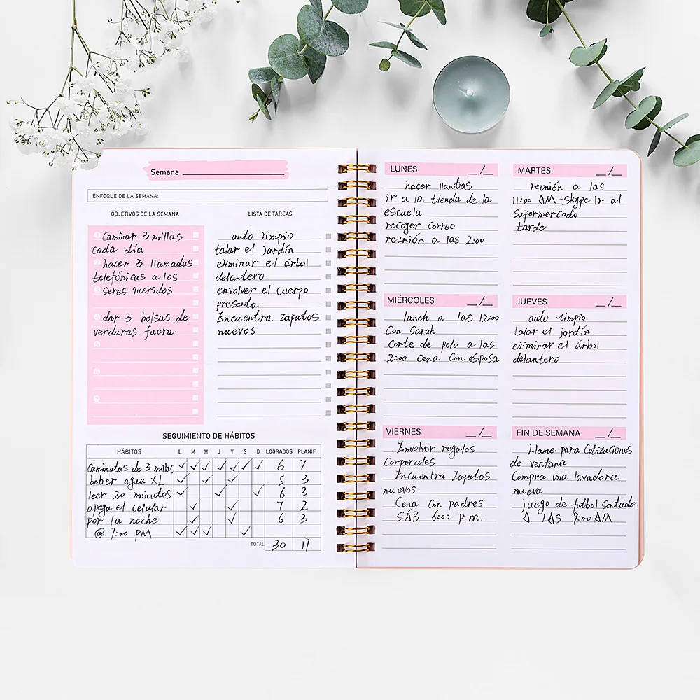 2022 A5 Daily Agenda Weekly Undated Planner Notebook Weekly Goals Habit  Schedules Office Accessories Agendas School Supplies