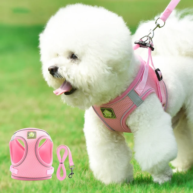 Dog Harness Pet Leash Vest-style Cat Breathable Adjustable Rope Reflective Pet Supplies Small Medium Dog Walking Harness Lead 2