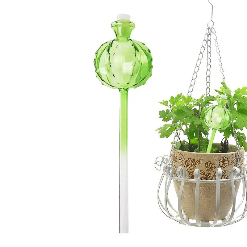 

Colorful Gradient Glass Cactus Shape Plant Watering Device Plant Self Watering Devices Automatic Plant Watering Ball supplies