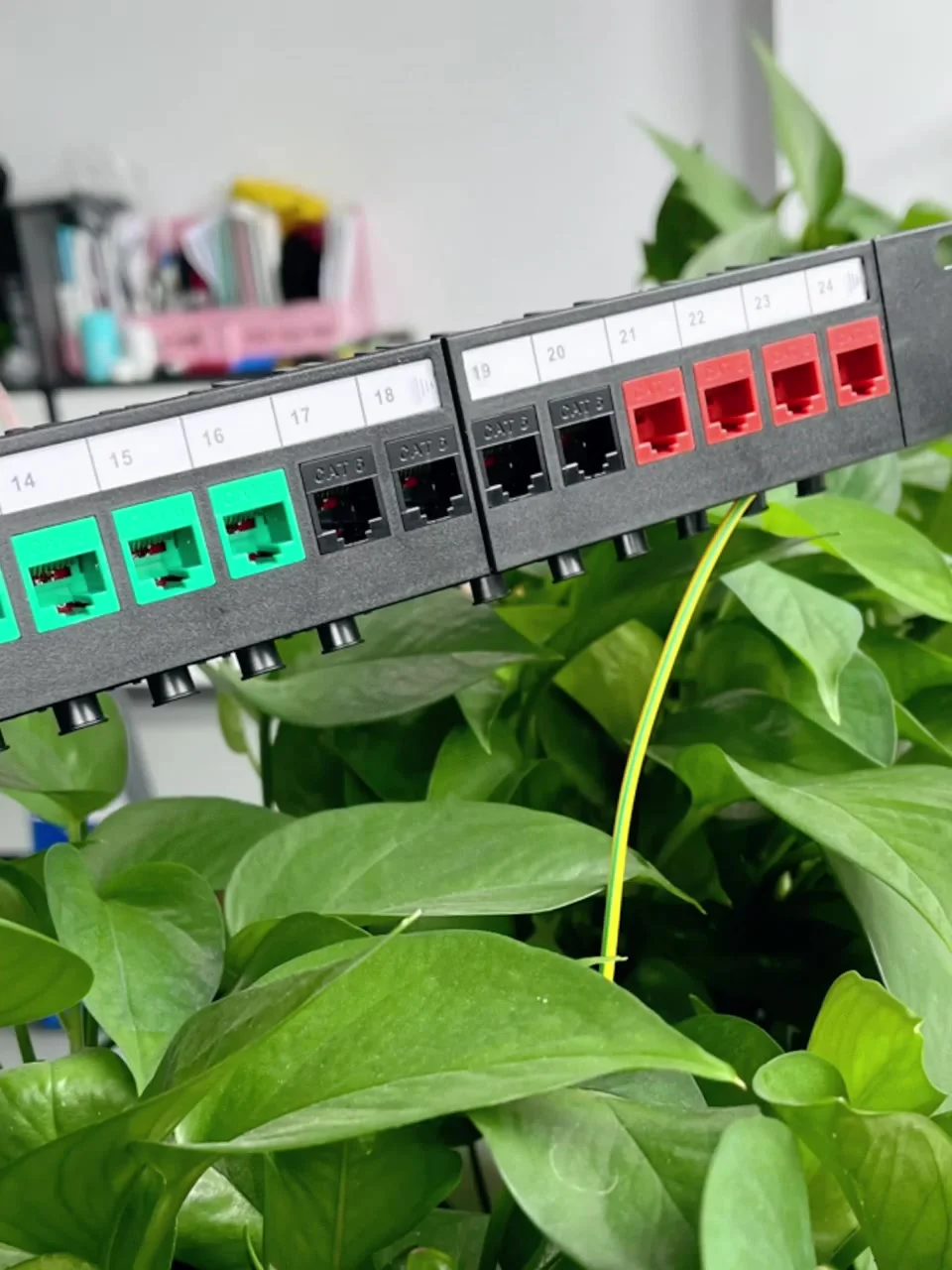 1U 24-port Panel de conexión en blanco blindado Proveedor