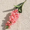 Peach pink