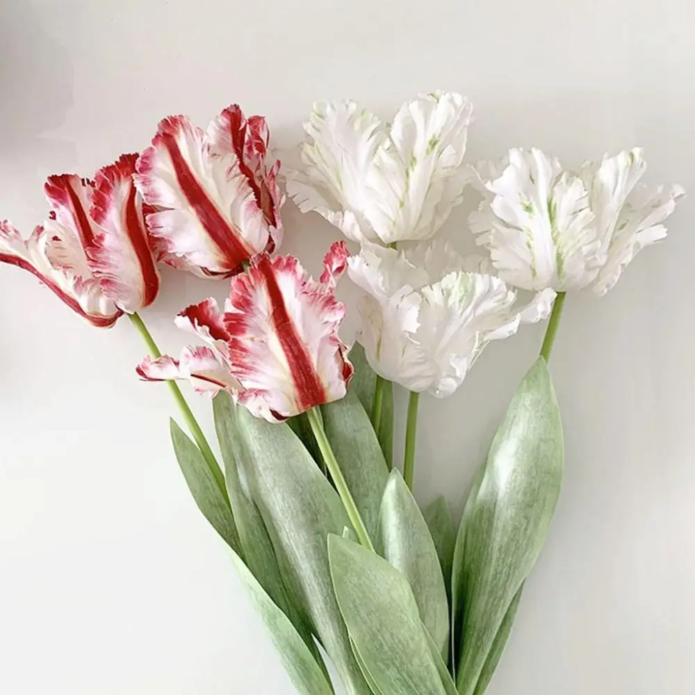     , ¥  , Ȩ  , ũ 3D ޹ ƫ, 68cm