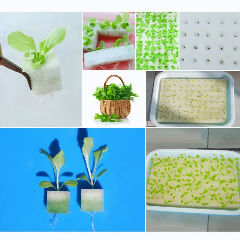 Hydroponic plant Sponge Garden Cultivation Seedling Soilless Culture Planting tools Vegetables Nursery Pots trays 100pcs/sheet