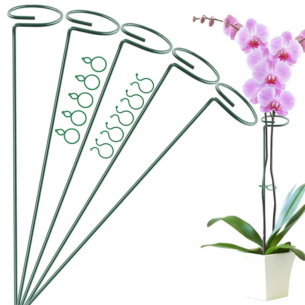 

5PCS Multi Sizes Plant Supports Stand Succulent Butterflies Orchid Flower Holder Pole Potted Fixing Rods Leaf Protection Frame