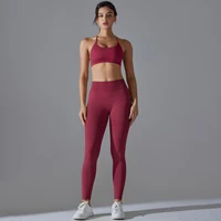 Yoga Suit for Women Yoga Set Sexy Sport Suit Hip Lifting Sports Fitness Bras and Leggings Set Sports Suits Breathable Set - Image 3