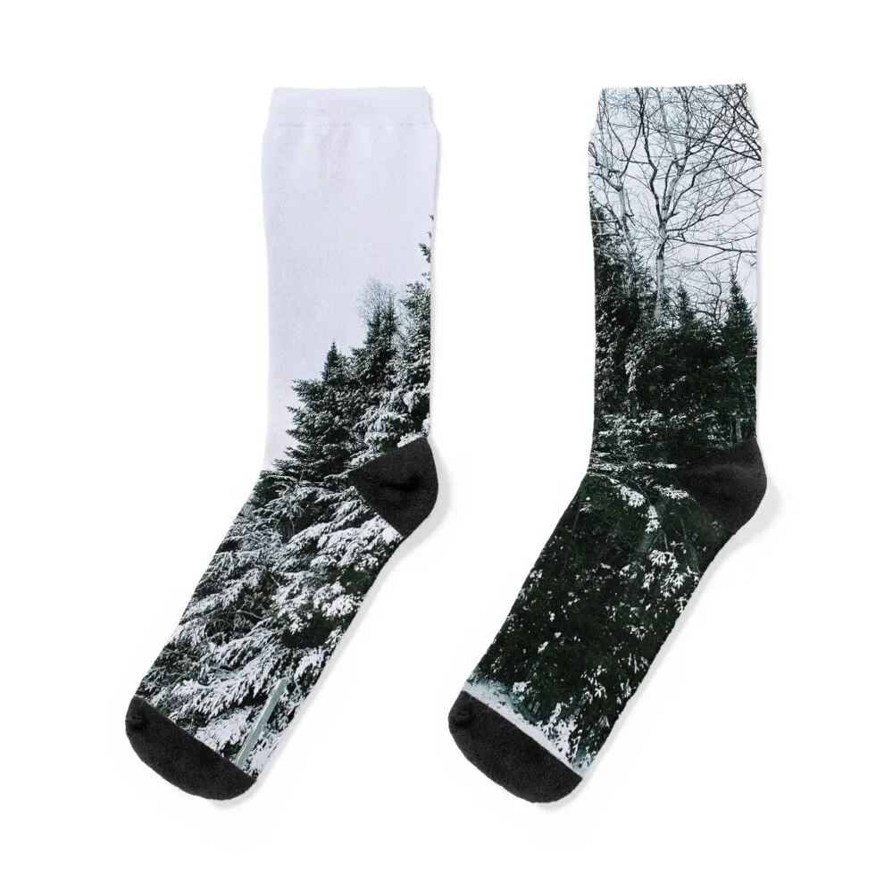 Snowy Trees in Winter Socks socks aesthetic colored socks Socks For Women Men's index loose leaf book binder dividers tabs plastic colored aesthetic notebook notepad markers for