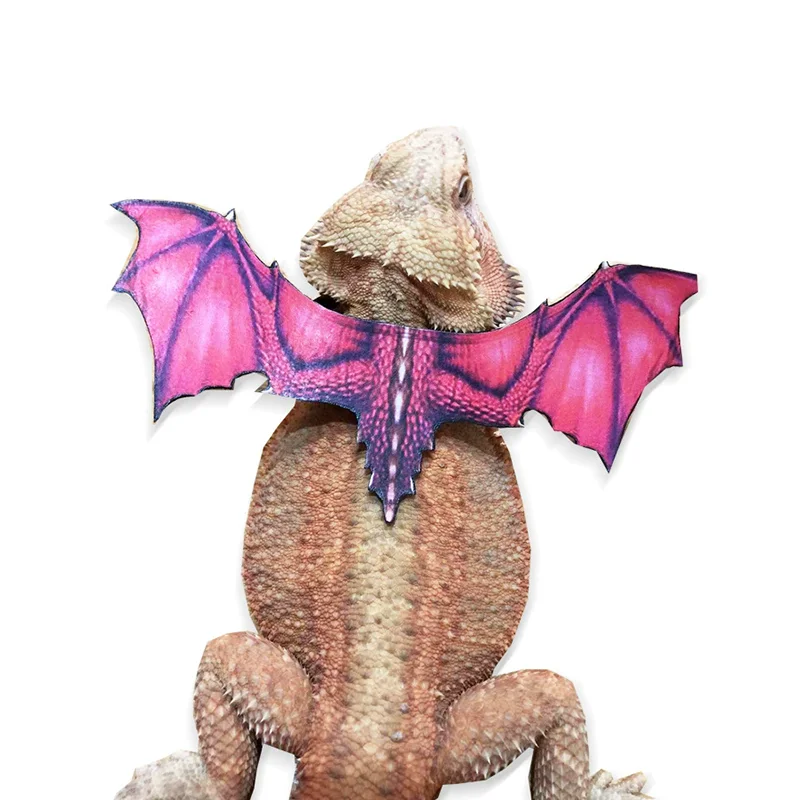 Lizard Leash Tyrannosaurus Rex Chameleon Climbing Pet Outing Leather Wing Chest Strap Chameleon Squirrel Leash Small Pet Supplie