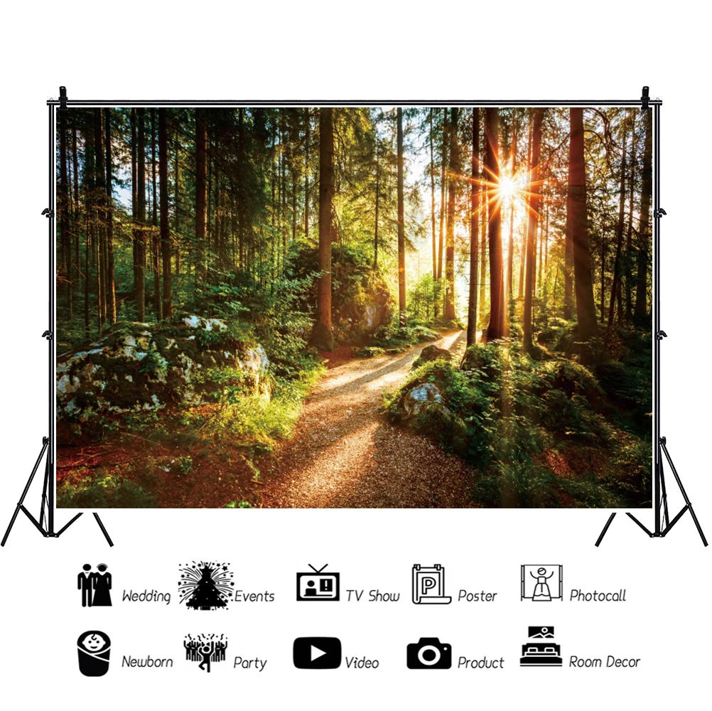 ǳ  ǳ    Photocall ũ    Ʃ Կ Photozone