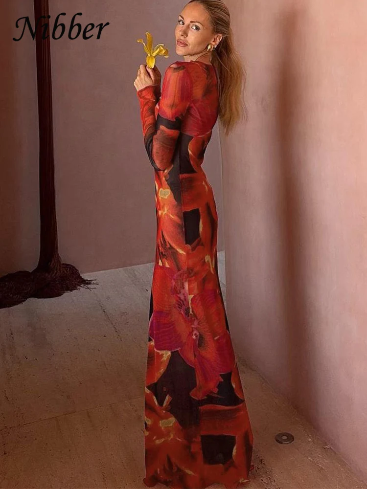 Nibber Colorful Print Dress Women Velvet See Through Skinny Full Sleeve Lace Hem Autumn Trend Stretch Casual Basic Long Bodycon 3