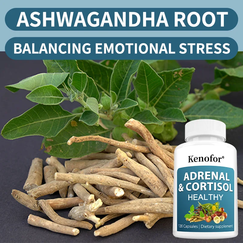 Rhodiola rosea extract, containing vitamin C and various minerals, supports immune system health and balances blood sugar