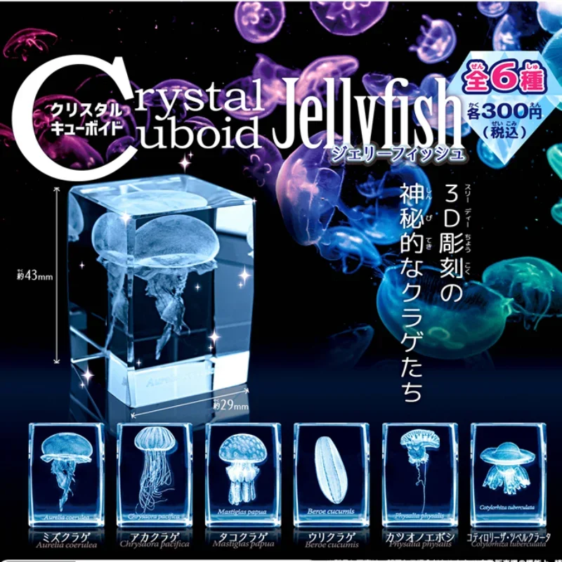 

Japan Jellyfish 3D Gashapon Crystal Cuboid Rocks Fish Tank Aquarium Figure Cute Capsule Toys Anime Decor Gift