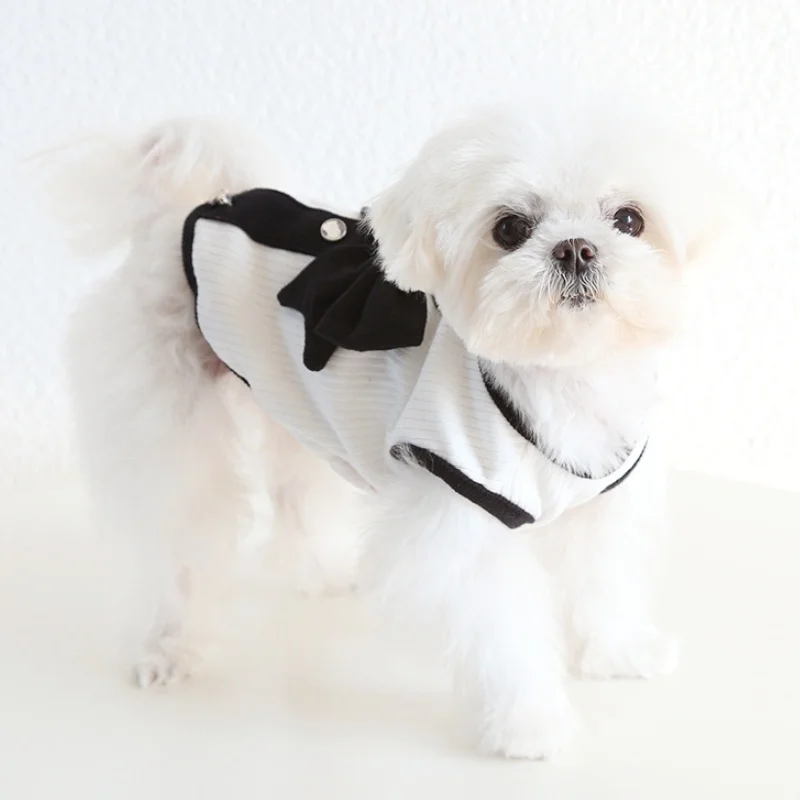 Vestido de luxo para cães pequenos com laço saia de princesa_voghion.com