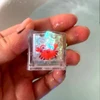 8PCS Cartoon Marine Animal Luminous Ice Cube Bath Toy LED Colorful Luminous Toy Touch Sensitive Luminous Toy 2