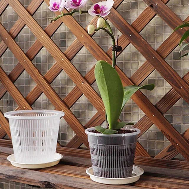 Vaso per piante di orchidee a controllo di radice trasparente vaso di fiori  in plastica fioriera per orchidee vassoio per vasi da fiori scatola per  contenitori per la crescita delle piante 