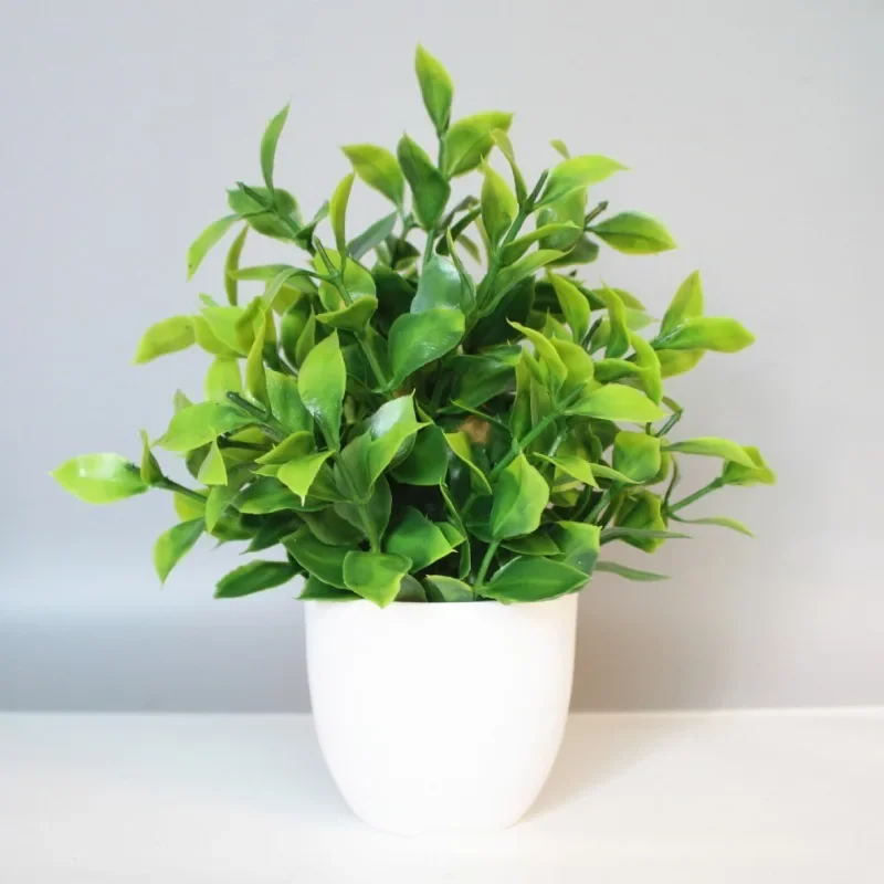 Deze planten vertoeven graag in je badkamer