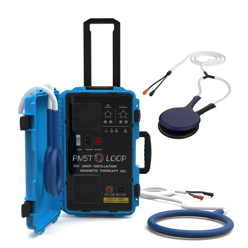 Pemf Therapy Pmst Loop Magnetio Physio Device Per Alleviare Il Dolore Del Corpo Con Cuscinetti