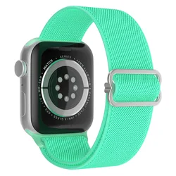 Durable Nylon Elastic Strap for Apple Watch - Versatile Size Options, Stylish and Comfortable Design (Spearmint 53)