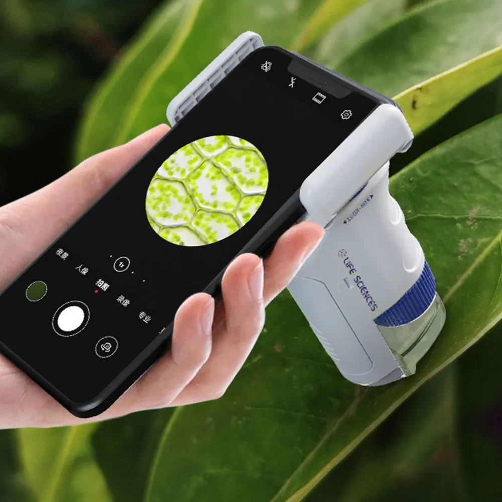Magnolia Device S1c237453f0cd4d97b68bab19d9f6bfa2Q.jpg