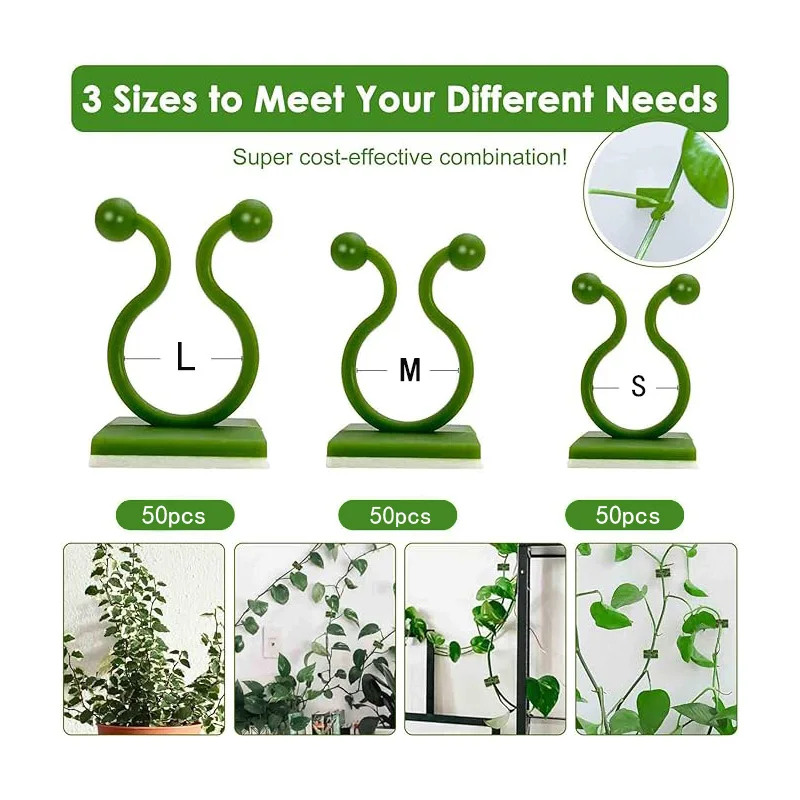 

Invisible Wall Rattan Clamp Plant Climbing Wall Self-Adhesive Fixator Vine Buckle Hook Rattan Fixed Clip Bracket Plant Stent