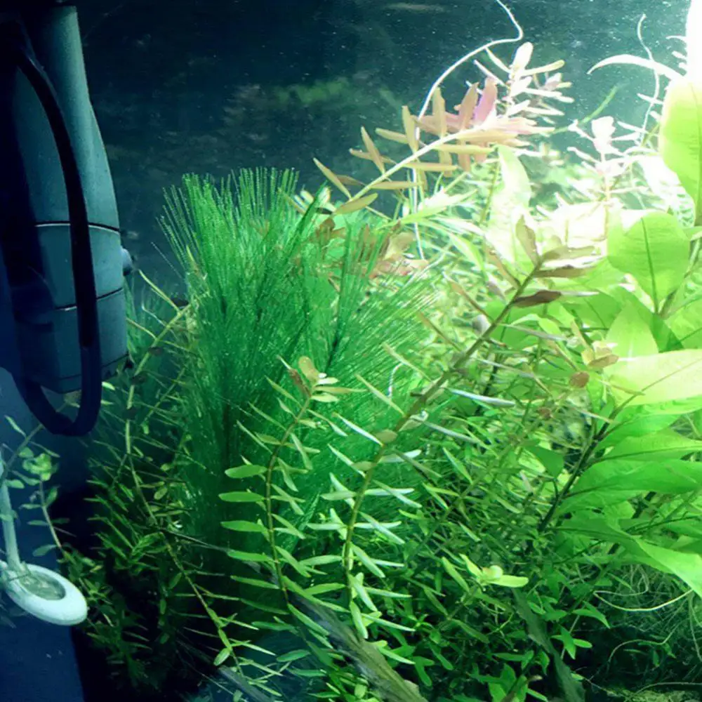 Artificial Aquarium Plants 1/3Pcs 28/40cm Aquarium Fish Tank Artificial Water Grass Aquatic Plant Landscaping Decor Underwater Plants Water Weeds Ornament