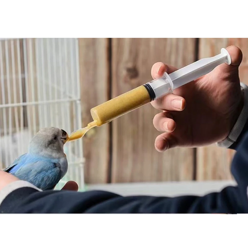 Bird Feeding Spoon Feeder Baby Bird Parrot Water Medicine Feeding Spoons Liquid Food Scoop Small Pets Tools parrot feeder