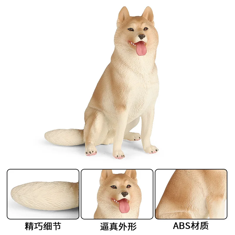 https://ae01.alicdn.com/kf/S1c2863896190458d9a1a443922fa46c0m.jpg?width=800&height=800&hash=1600