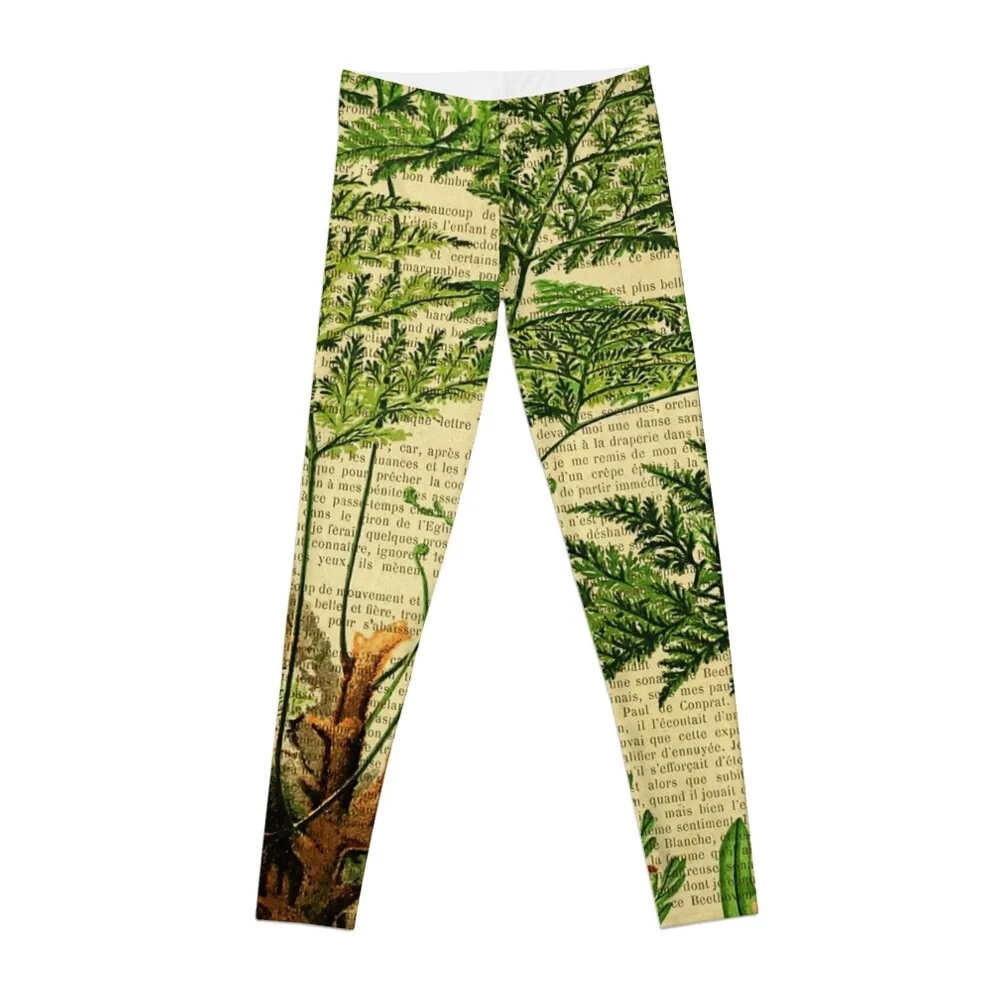 

Botanical print, on old book page - Fern Leggings gym pants Fitness clothing Women's gym Sweatpants Womens Leggings