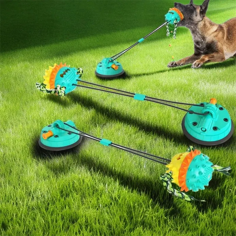  ñ 峭 Ǹ  , ͷƼ , õõ Ա Ǵ, ֿ  ô ġ û ĩ, ǰ 
