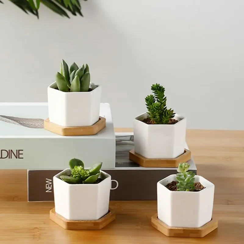 Little Geometic White Planter