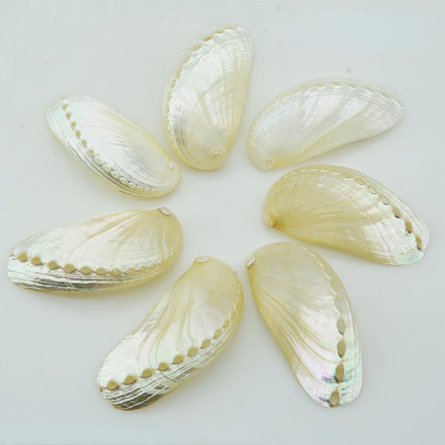6-8cm /6PCS Abalone Shell Natural Conch Abalone Shell Polished Shell Props Fish Tank Landscaping Aquarium Decoration DIY Jewelry 1