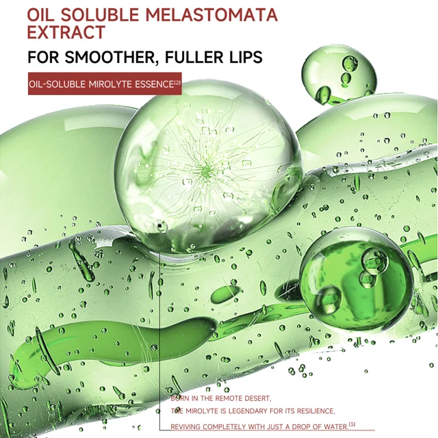 SAINVANA Hydrating & Plumping Lip Gloss Lip Repair Ointment with Vitamin Moisturizing Lip Balm Pack Natural Origin Conditioning